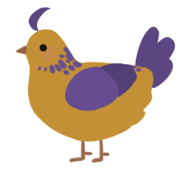 A gold and overcast chicken with a neck-speckle pattern