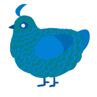 A sea and sapphire chicken with a lace pattern