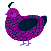 A plum and tumblr chicken with a lace pattern