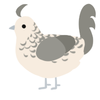 A cream and ash chicken with a half-lace pattern