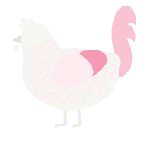 A white and rose chicken with a lace pattern