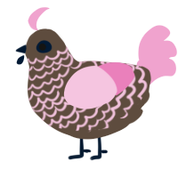 A bark and pink chicken with a lace pattern