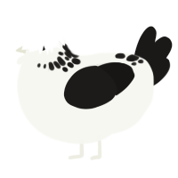 A white and sable chicken with a neck-speckle pattern