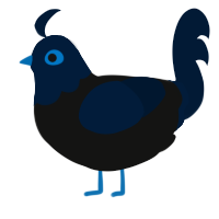 A black and tumblr chicken with a head pattern
