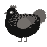 A black and grey chicken with a half-lace pattern