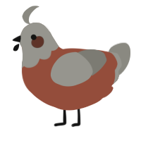 A russet and ash chicken with a head pattern