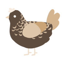 A bark and beige chicken with a half-lace pattern