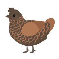 A bark and brown chicken with a lace pattern