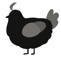 A black and grey chicken