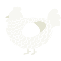 A white chicken with a lace pattern