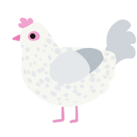A white and mist chicken with a speckle pattern