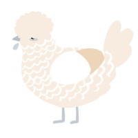 A cream chicken with a lace pattern