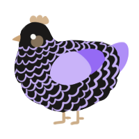 A sable and lilac chicken with a lace pattern