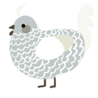 A silver and white chicken with a lace pattern