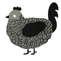 A ash and black chicken with a double-lace pattern