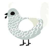 A silver and white chicken with a lace pattern