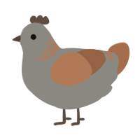 A ash and brown chicken with a neck-band pattern