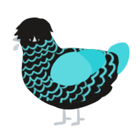 A sable and aqua chicken with a lace pattern