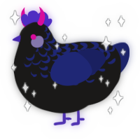 A sable and navy chicken with a half-lace pattern