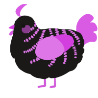 A sable and orchid chicken with a half-bar pattern