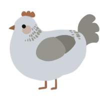 A mist and ash chicken with a neck-band pattern