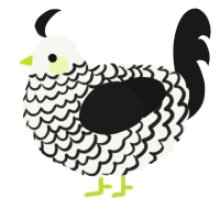 A white and sable chicken with a lace pattern