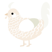 A cream and white chicken with a lace pattern