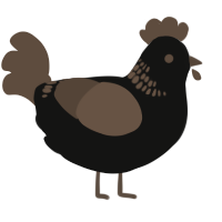 A black and bark chicken with a neck-band pattern