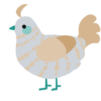 A mist and beige chicken with a bar pattern