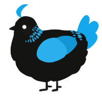 A black and sky chicken with a neck-band pattern
