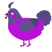 A amethyst and overcast chicken with a head pattern