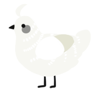 A white chicken with a half-bar pattern