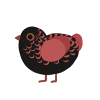 (unnamed), a sable and red chicken with a half-lace pattern