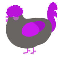 A grey and amethyst chicken