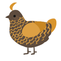 A bark and orange chicken with a lace pattern