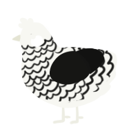 A white and black chicken with a lace pattern