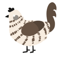 A cream and bark chicken with a bar pattern