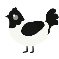A white and black chicken with a head pattern