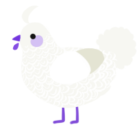 A white chicken with a double-lace pattern