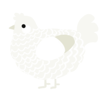 A white chicken with a lace pattern
