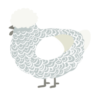 A silver and white chicken with a double-lace pattern
