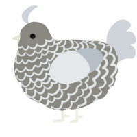 A ash and mist chicken with a lace pattern