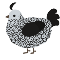 A mist and sable chicken with a double-lace pattern