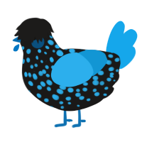 A sable and sky chicken with a speckle pattern