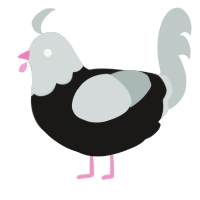 A sable and silver chicken with a head pattern