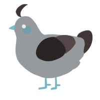 A grey and silver chicken
