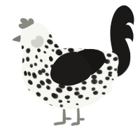 A white and sable chicken with a speckle pattern
