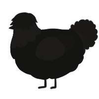 A black and sable chicken with a head pattern