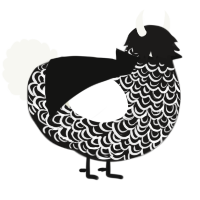 A sable and white chicken with a double-lace pattern
