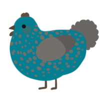 A sea and grey chicken with a speckle pattern